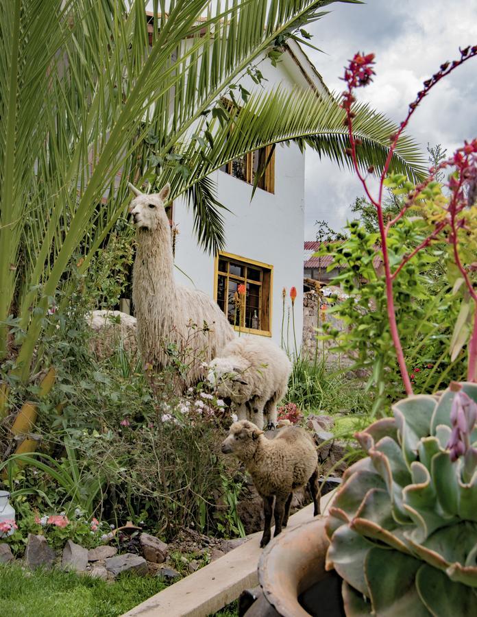 Inkita Boutique Guesthouse Cuzco Exterior foto
